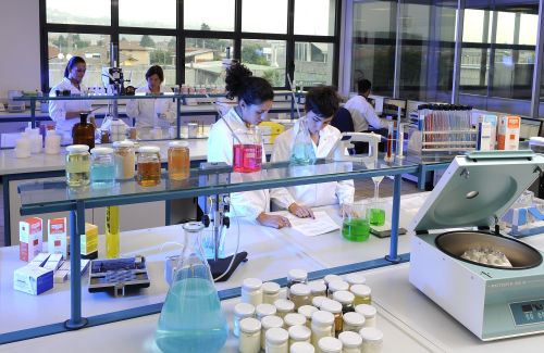 回溯玉泽的发展历程