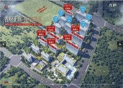 社区实行严格的人车分流