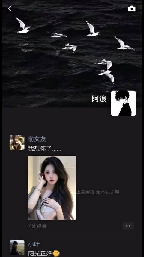 菲律宾篮球赛事突发熊群事件引发热议